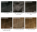 paleta 1.png